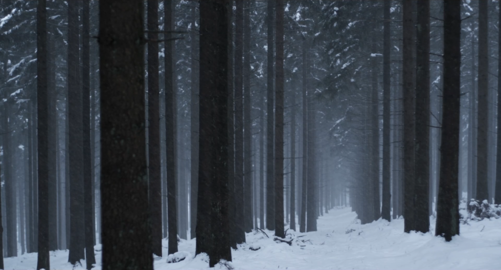 La proie pour l’ombre